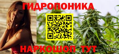 гидра Обнинск
