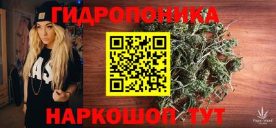 крисы Нягань