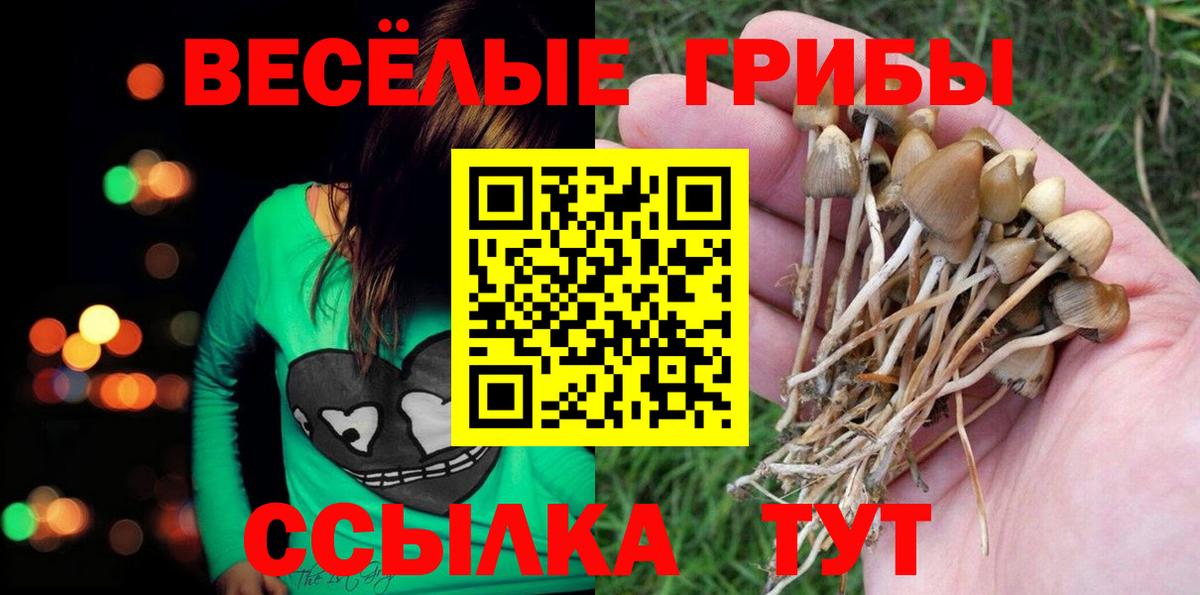 Псилоцибиновые грибы мицелий Серов
